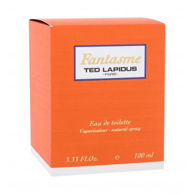 Ted Lapidus Fantasme Woda toaletowa dla kobiet 100 ml