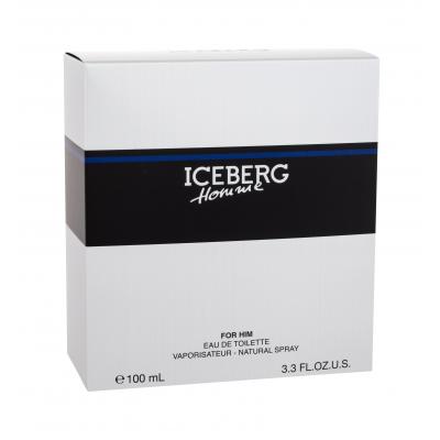 Iceberg Homme Woda toaletowa dla mężczyzn 100 ml