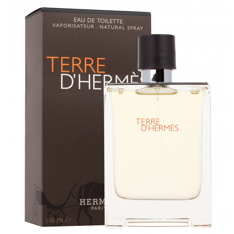 Hermes Terre d´Hermès Woda toaletowa dla mężczyzn 100 ml Uszkodzone pudełko