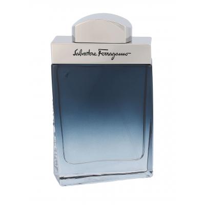 Ferragamo Subtil Pour Homme Woda toaletowa dla mężczyzn 50 ml