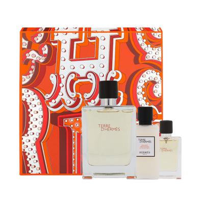 Hermes Terre d´Hermès Zestaw Edt 100 + 12,5ml Woda toaletowa + 40ml Balsam po goleniu
