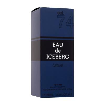 Iceberg Eau de Iceberg Cedar Woda toaletowa dla mężczyzn 100 ml