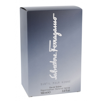 Ferragamo Subtil Pour Homme Woda toaletowa dla mężczyzn 100 ml