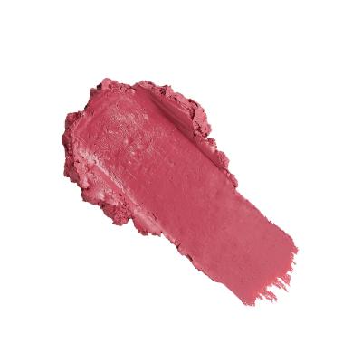 Revolution Pro New Neutral Satin Matte Lipstick Pomadka dla kobiet 3,2 g Odcień Struck