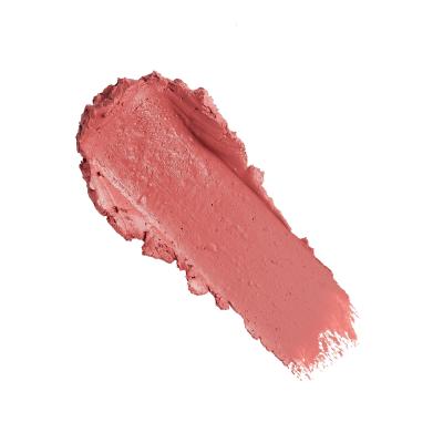 Revolution Pro New Neutral Satin Matte Lipstick Pomadka dla kobiet 3,2 g Odcień Tease