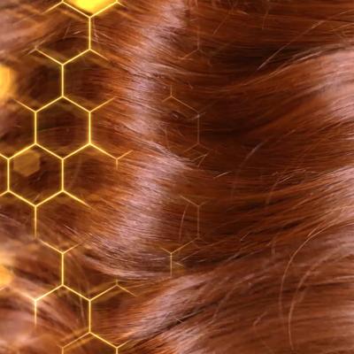Garnier Botanic Therapy Honey &amp; Beeswax Szampon do włosów dla kobiet 400 ml