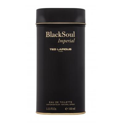 Ted Lapidus Black Soul Imperial Woda toaletowa dla mężczyzn 100 ml