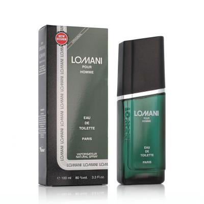 Lomani Pour Homme Woda toaletowa dla mężczyzn 100 ml