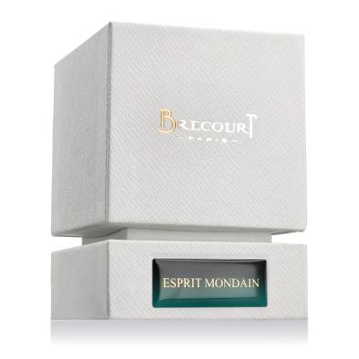 Brecourt Esprit Mondain Woda perfumowana dla mężczyzn 50 ml