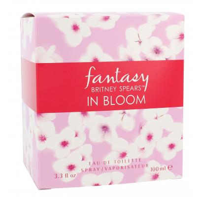Britney Spears Fantasy in Bloom Woda toaletowa dla kobiet 100 ml