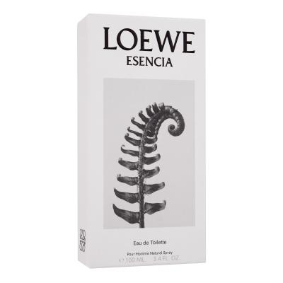 Loewe Esencia Woda toaletowa dla mężczyzn 100 ml