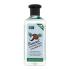 Xpel Coconut Hydrating Shampoo Szampon do włosów dla kobiet 400 ml