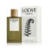Loewe Esencia Woda toaletowa dla mężczyzn 150 ml