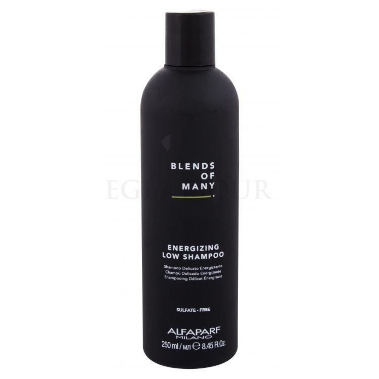 ALFAPARF MILANO Blends Of Many Energizing Szampon do włosów dla mężczyzn 250 ml